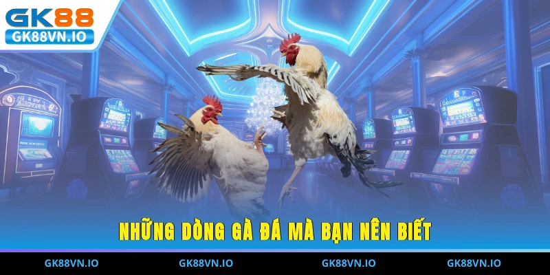 Đá Gà Cựa Dao - Loại Hình Giải Trí Không Thể Bỏ Lỡ 2025 Những dòng gà đá mà bạn nên biết